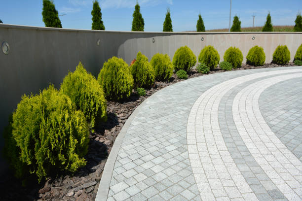 Best Local Driveway Pavers  in Berwyn, PA